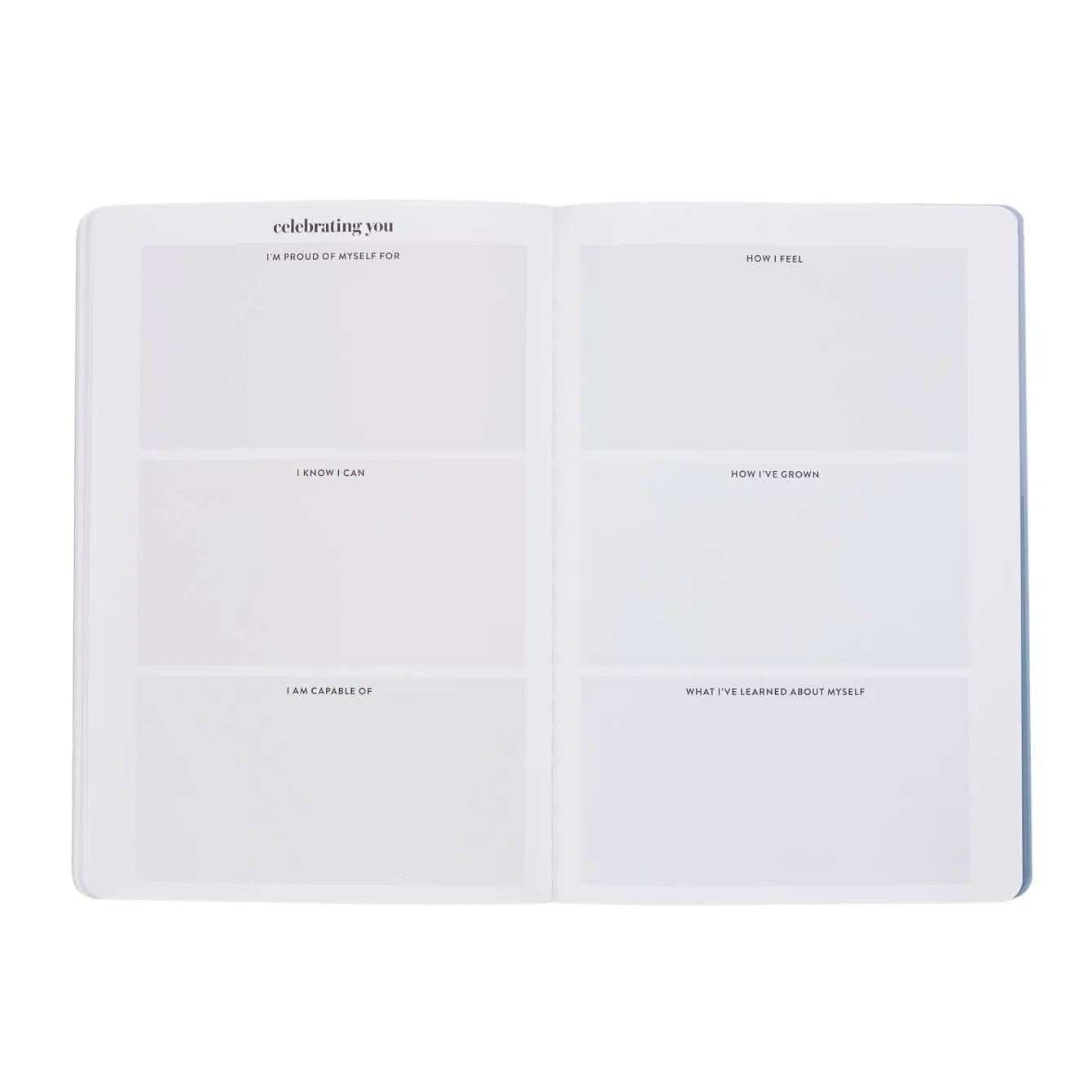 PetitePlanner Gratitude Journal
