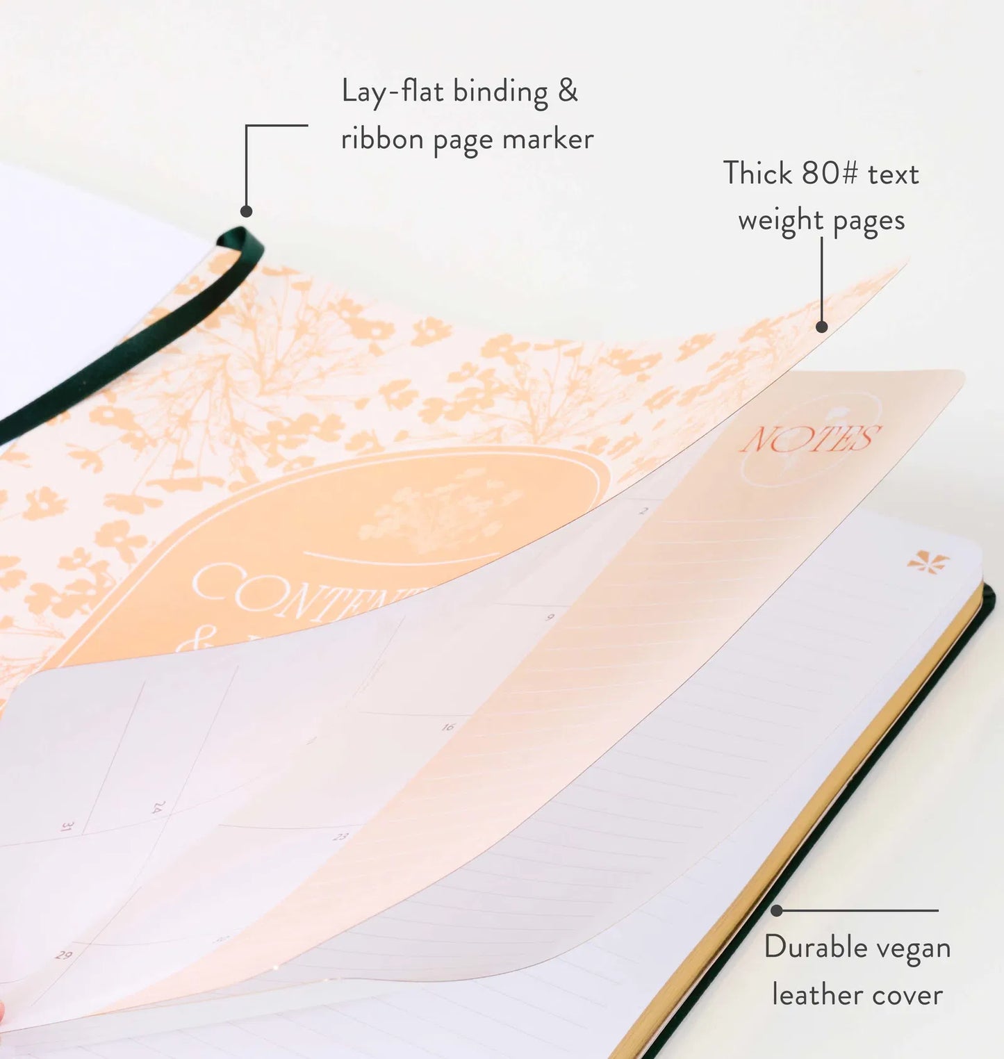 Notebook with features highlighted on a white background