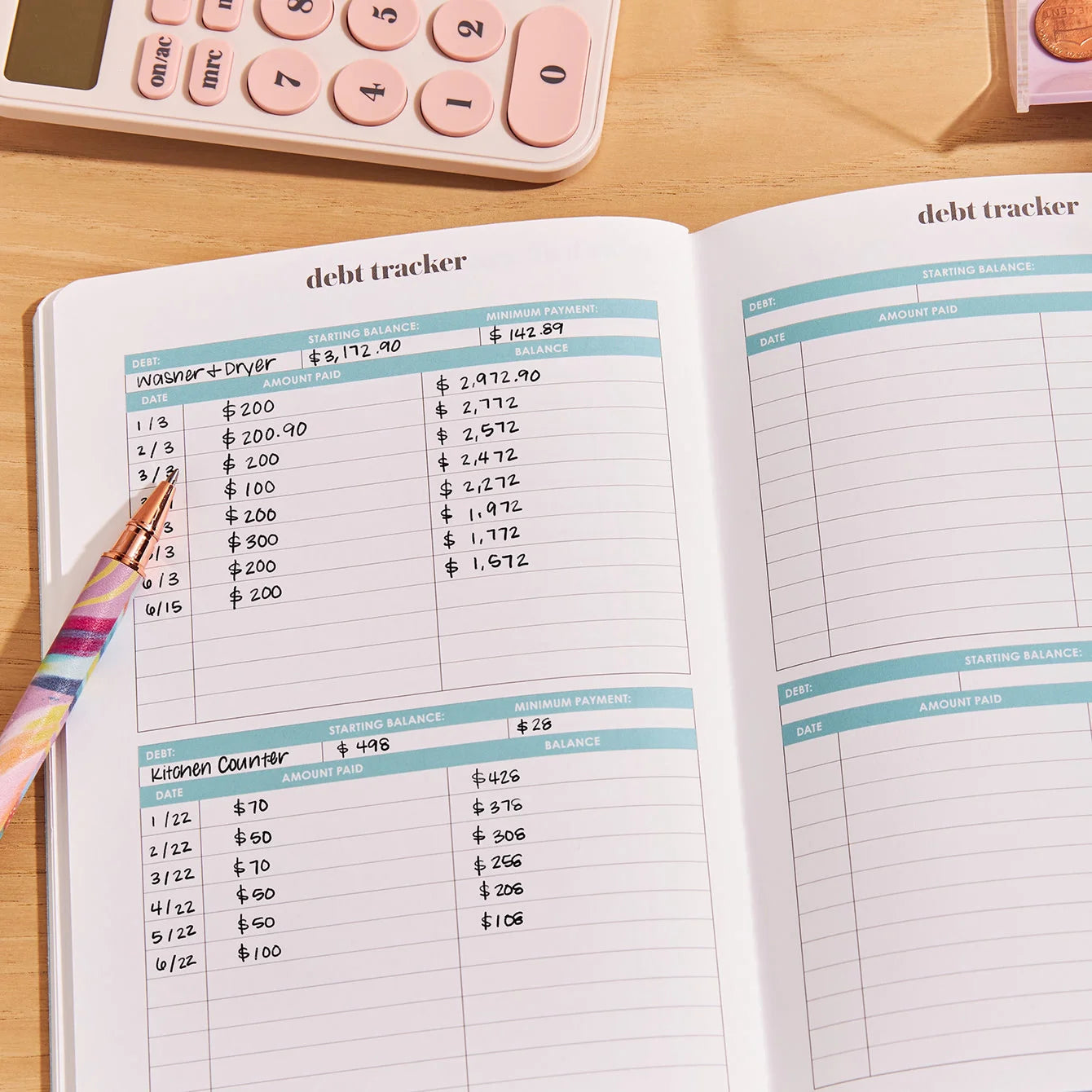 Abstract Circles PetitePlanner Budget Book
