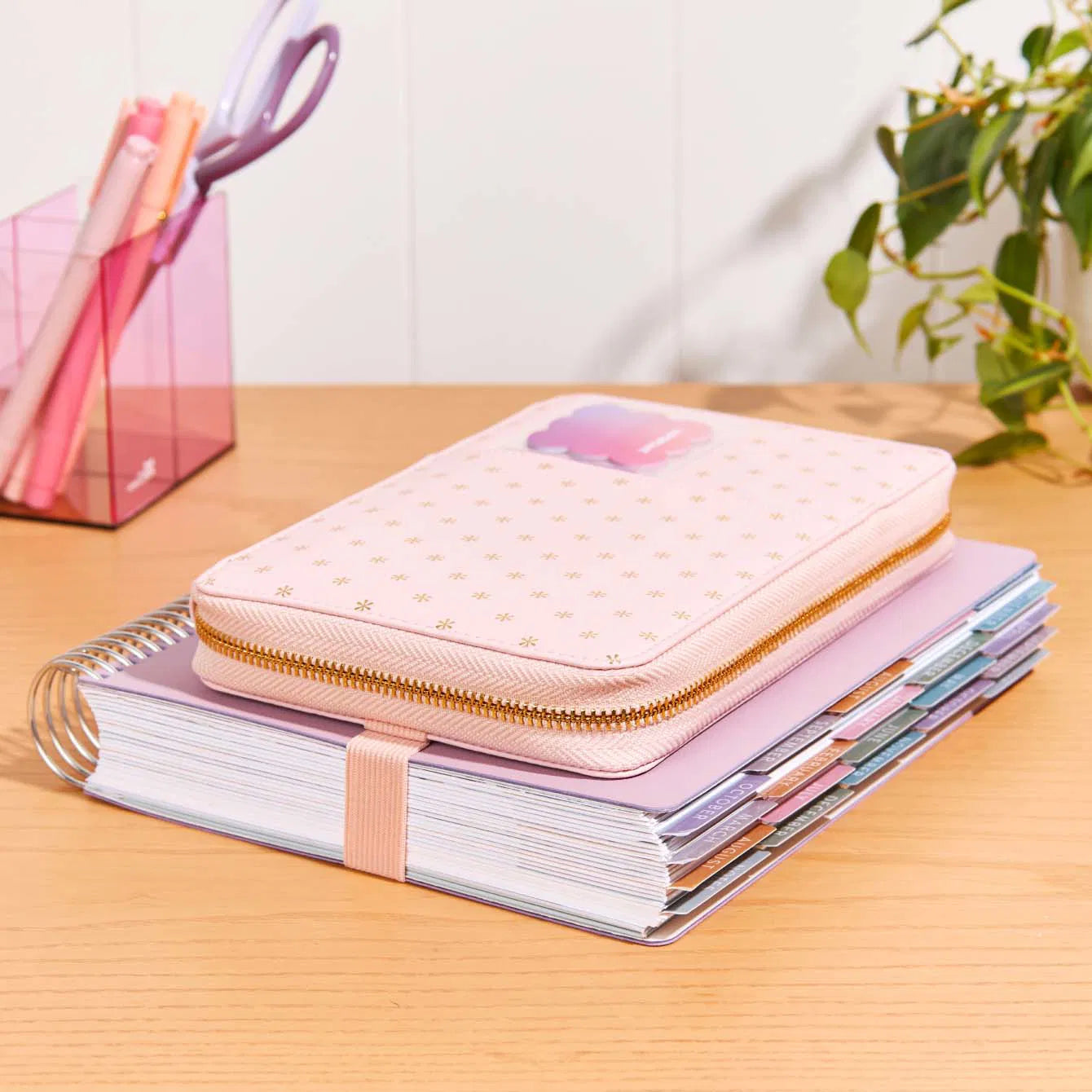 Blush Asterisk Premium Planny Pack