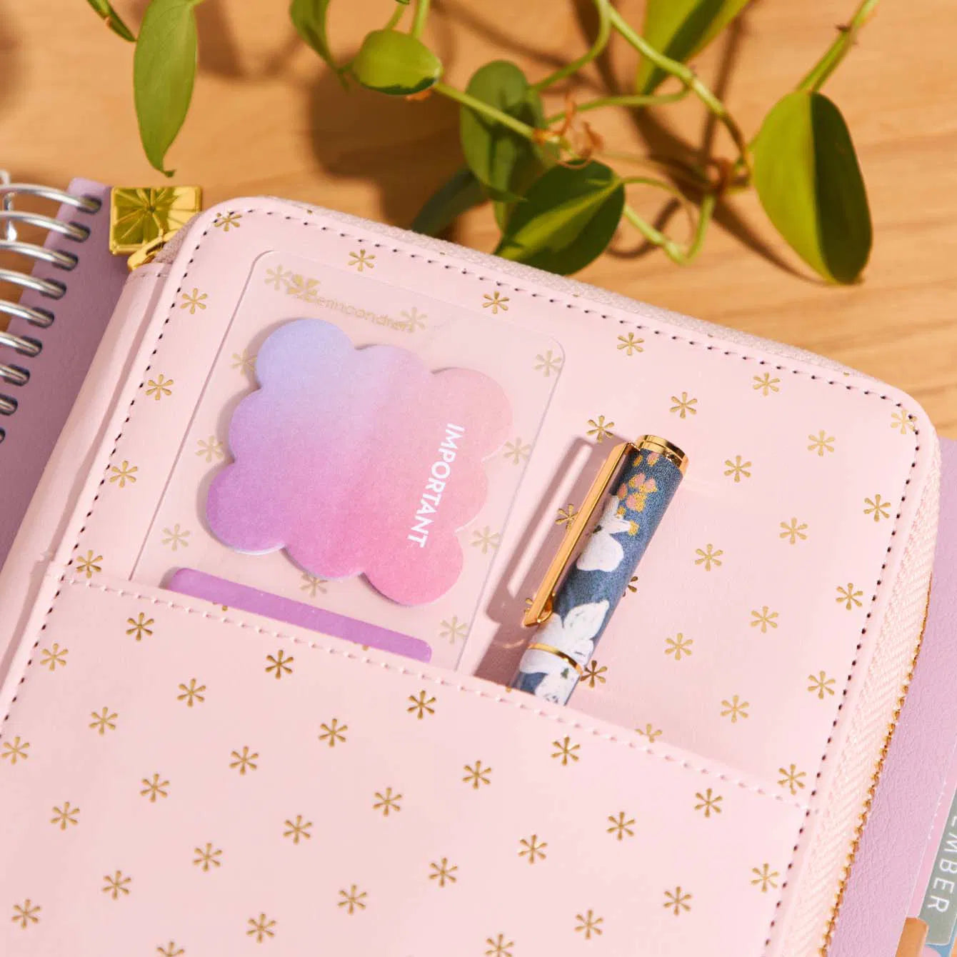 Blush Asterisk Premium Planny Pack