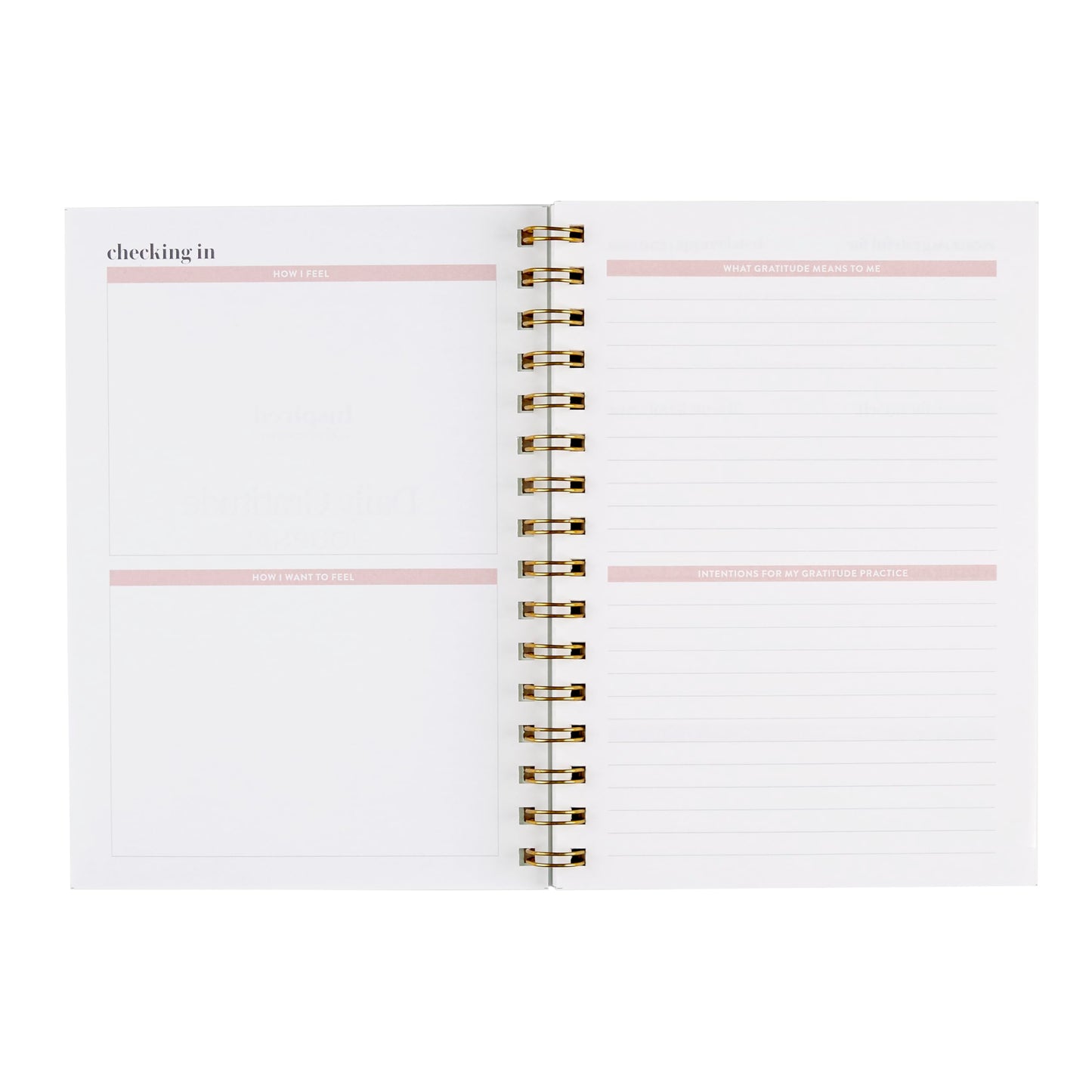 A5 Gratitude Journal, Inspired by Erin Condren