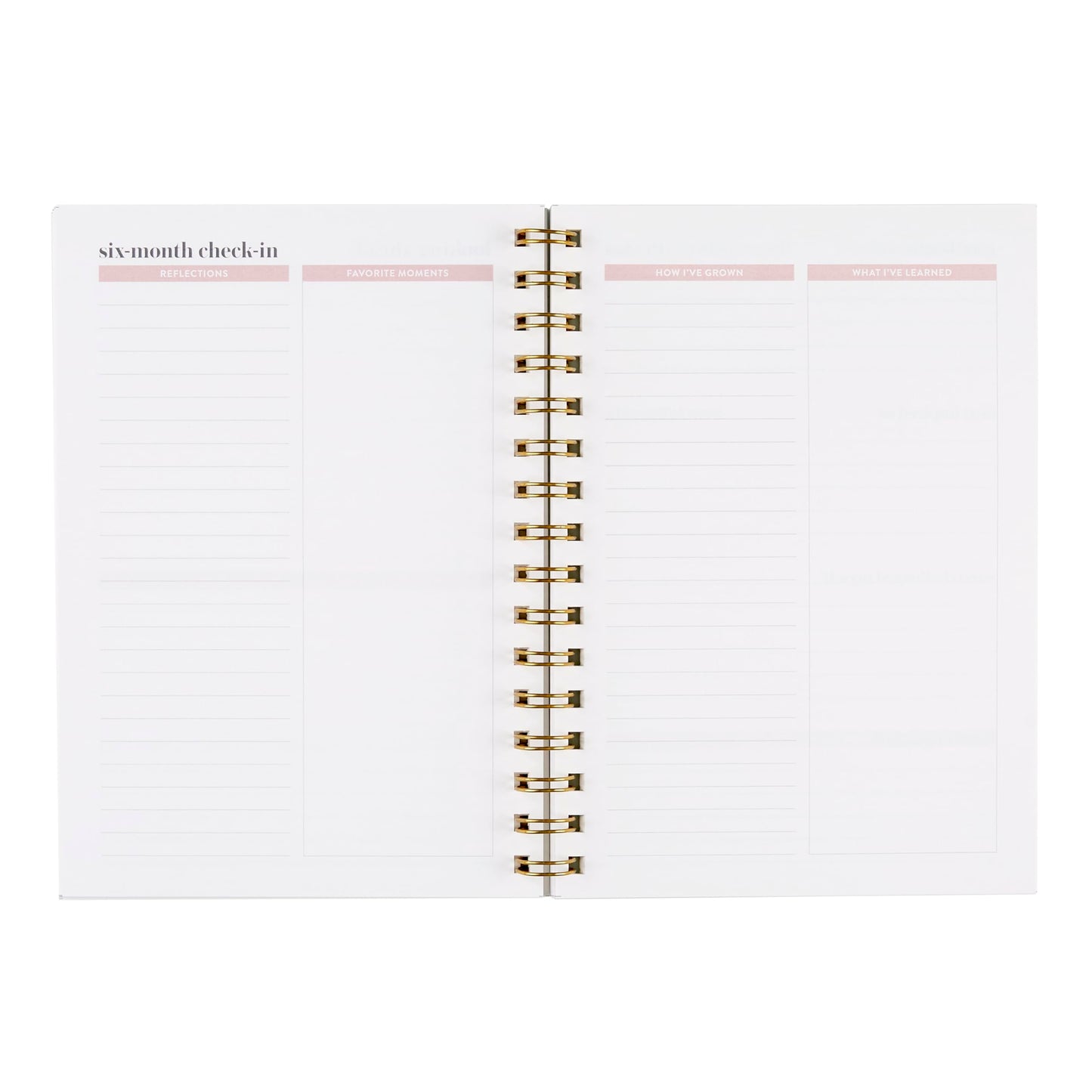 A5 Gratitude Journal, Inspired by Erin Condren