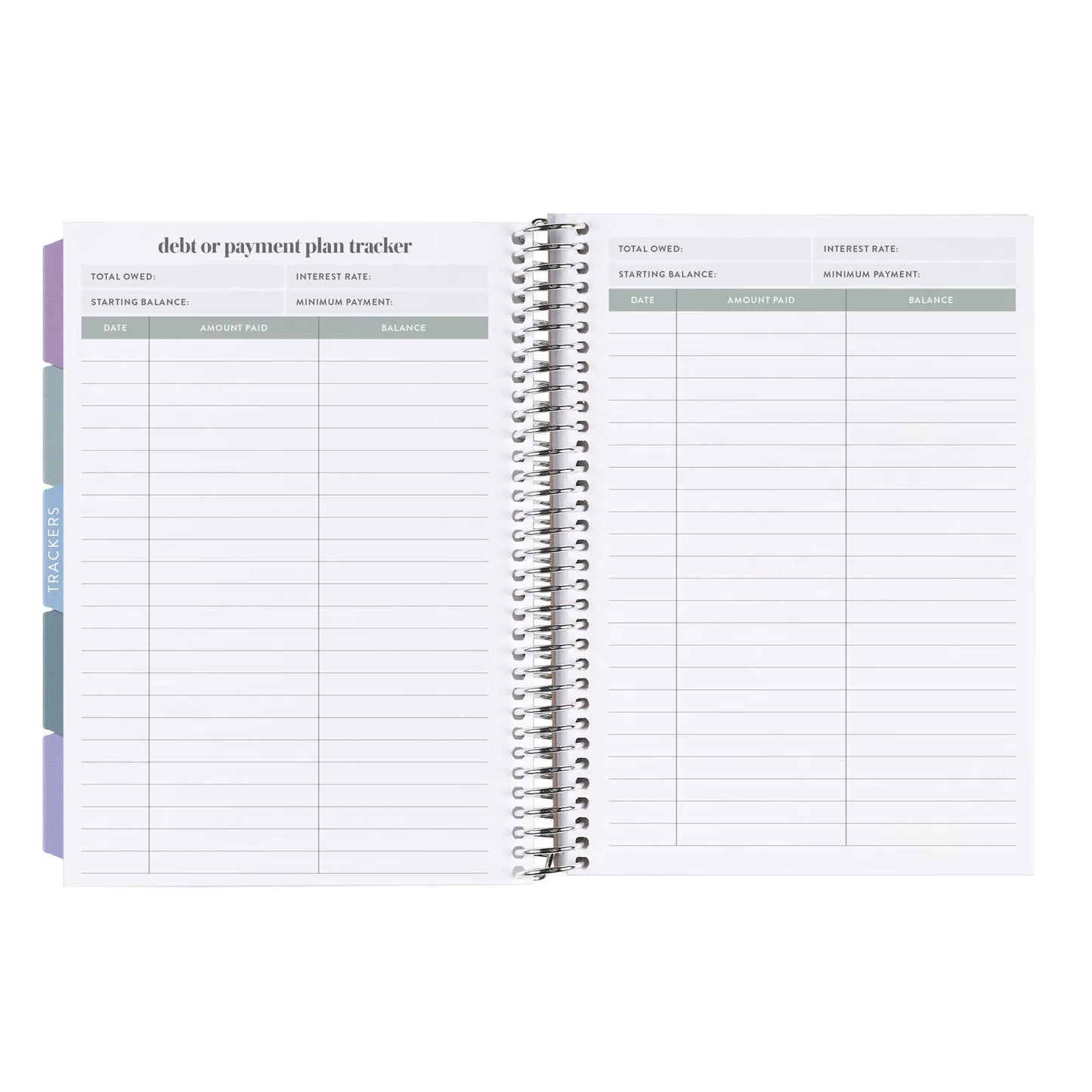 Champagne Vegan Leather A5 Budget Planner