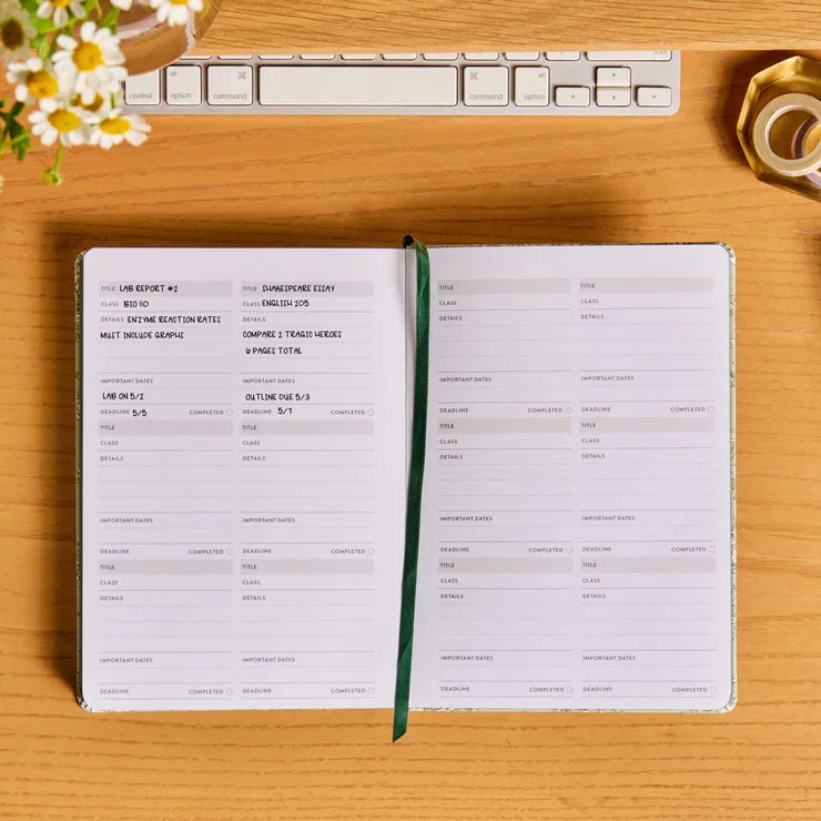 A5 Softbound Academic Planner - Toile Wallpaper Fern (August 2026 - July 2027)