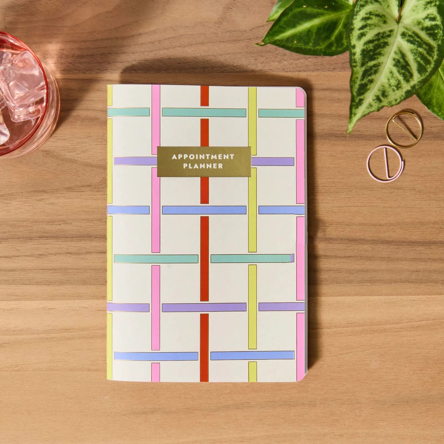 Appointment Book Petite Planner