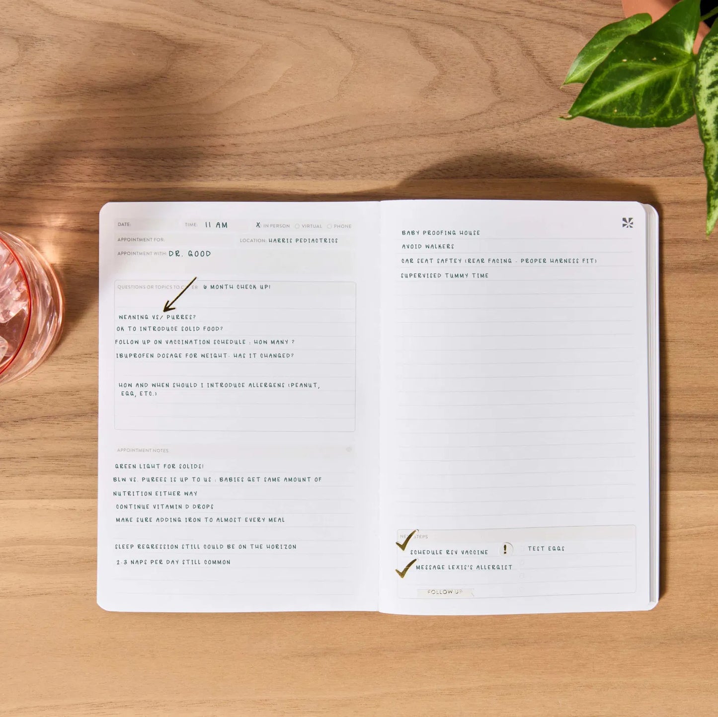 Appointment Book Petite Planner