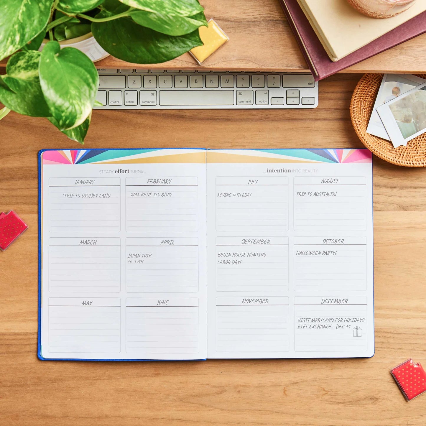 8x10 Softbound Monthly Planner - Royal Blue